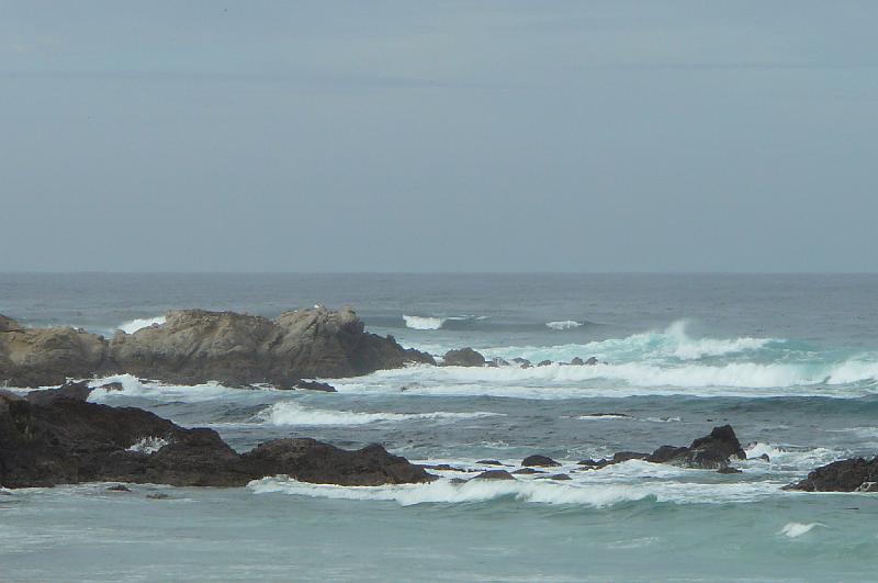 Carmel 10-30-08 246.jpg